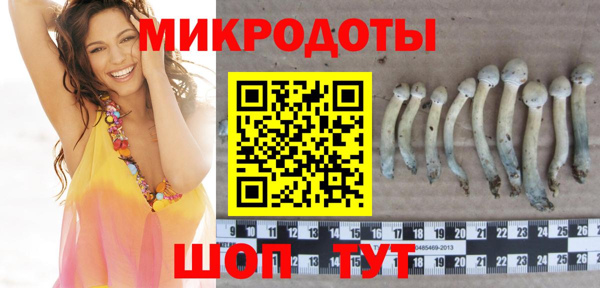 Псилоцибиновые грибы прущие грибы Ялта